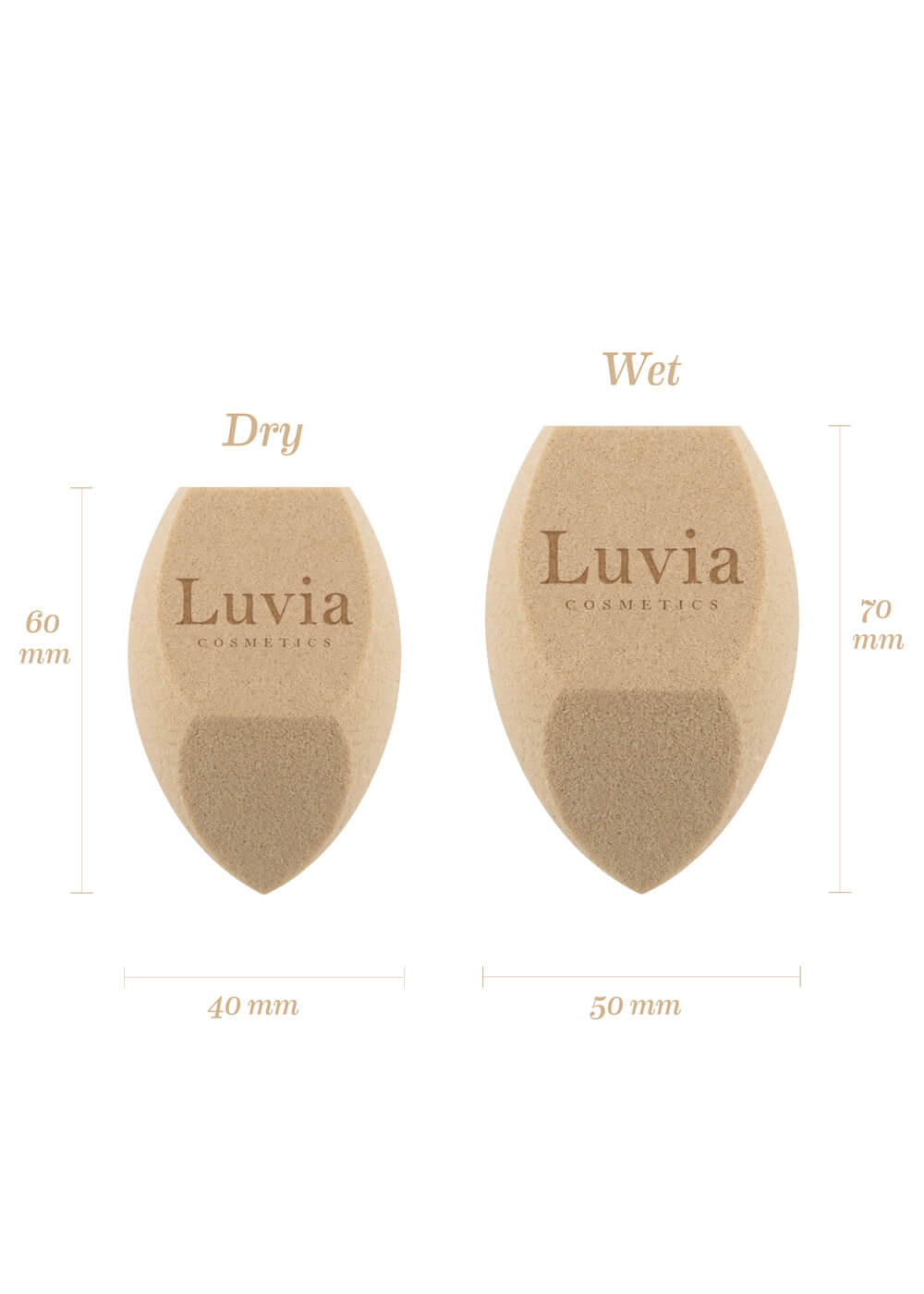 Tea Make-up Sponge Set – Luvia Cosmetics