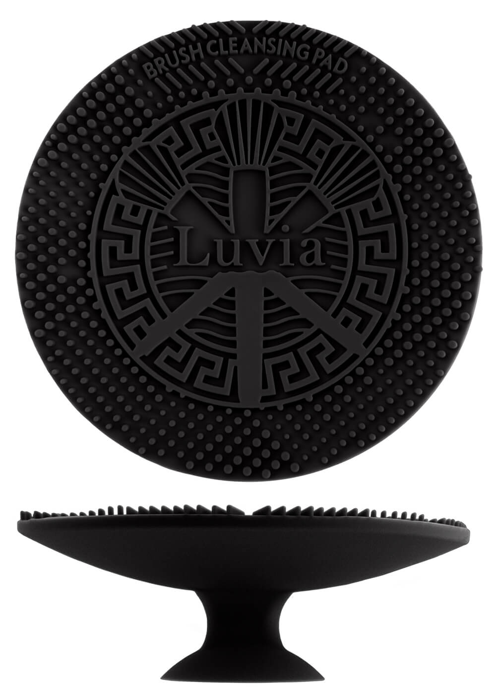 Cleansing Pad um Make-up Pinsel richtig zu reinigen